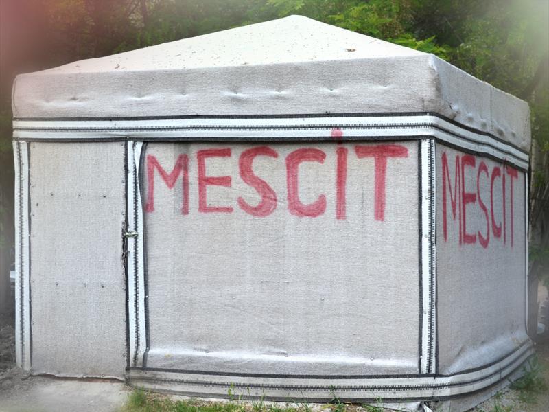 Mescit